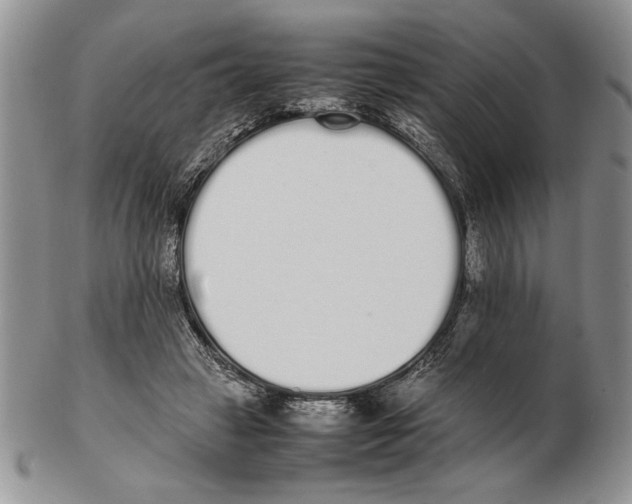 X0000102260449200808221419