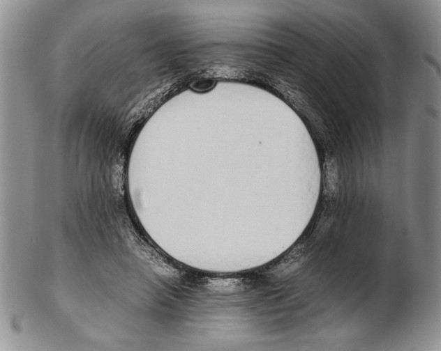 X0000102260450200808221419