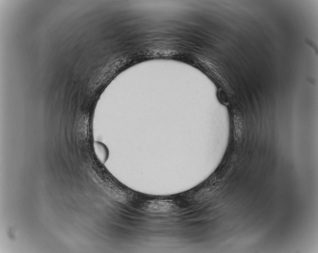 X0000102260451200808221419