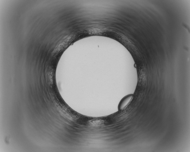 X0000102260452200808221419
