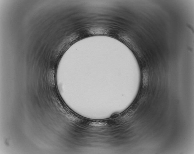 X0000102260453200808221419