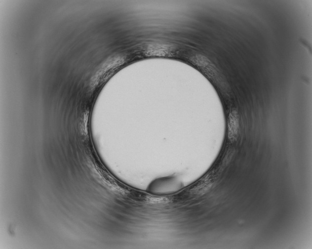 X0000102260454200808221419