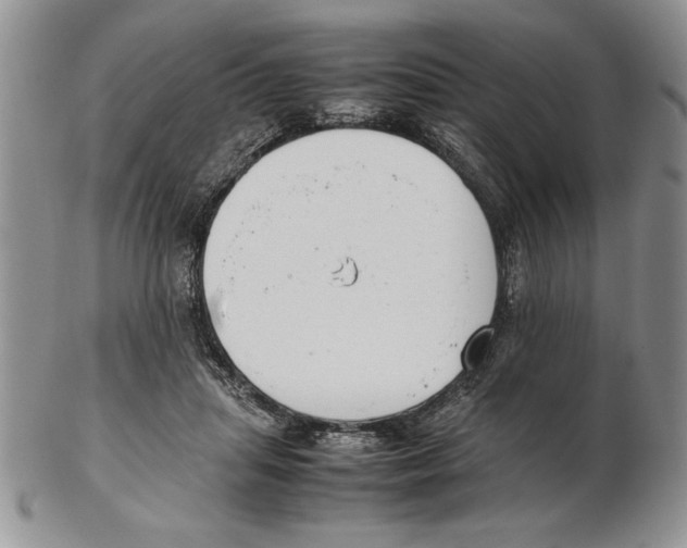 X0000102260455200808221419