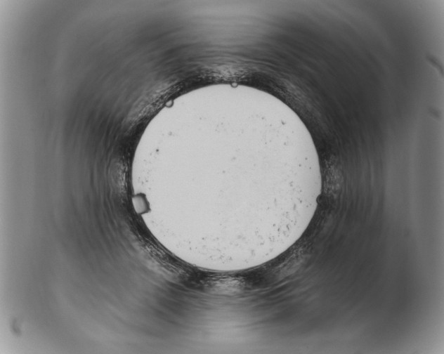X0000102260456200808221419