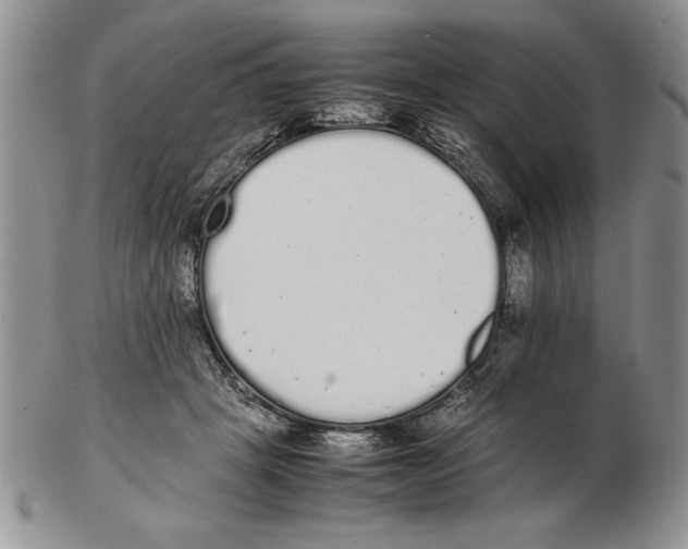 X0000102260457200808221419