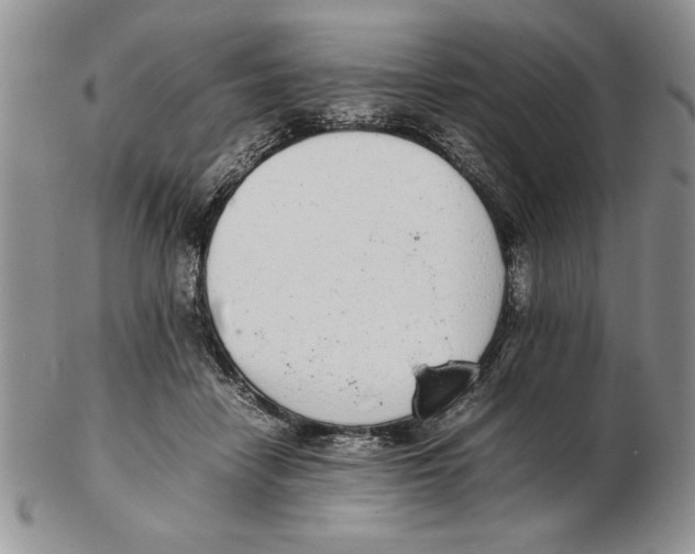 X0000102260458200808221419