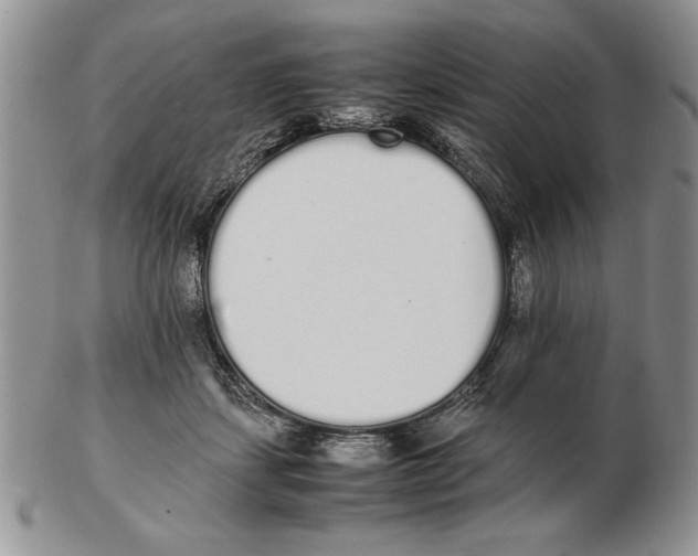 X0000102260459200808221419
