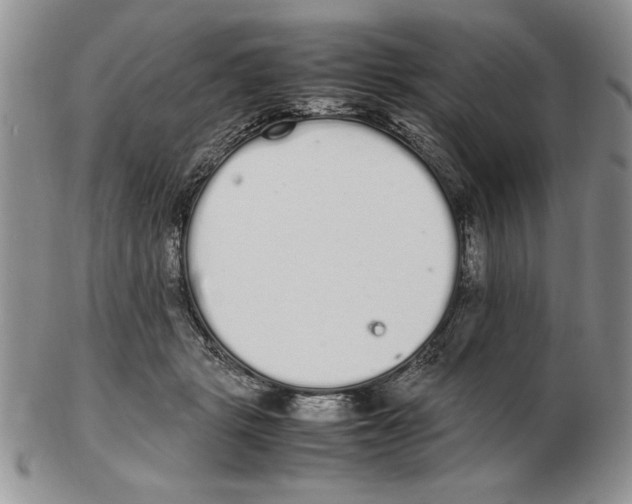 X0000102260461200808221419