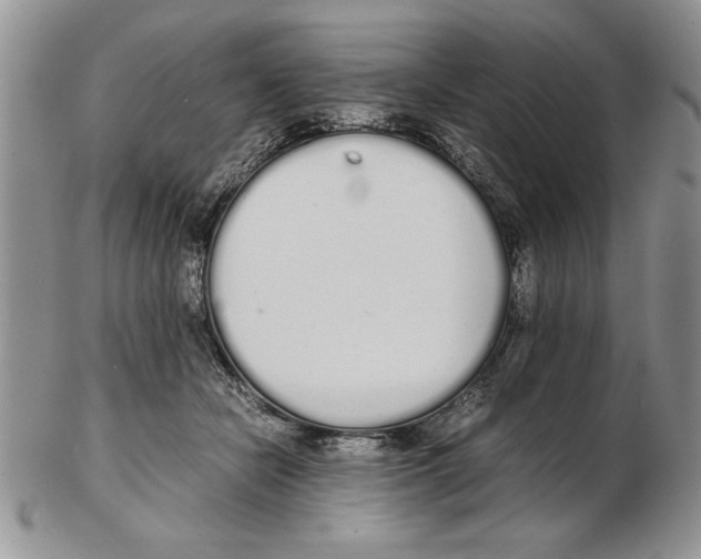 X0000102260462200808221419