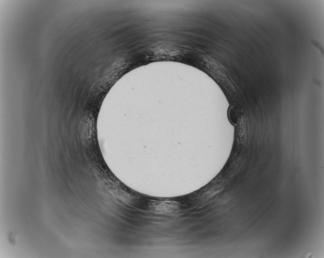 X0000102260463200808221419
