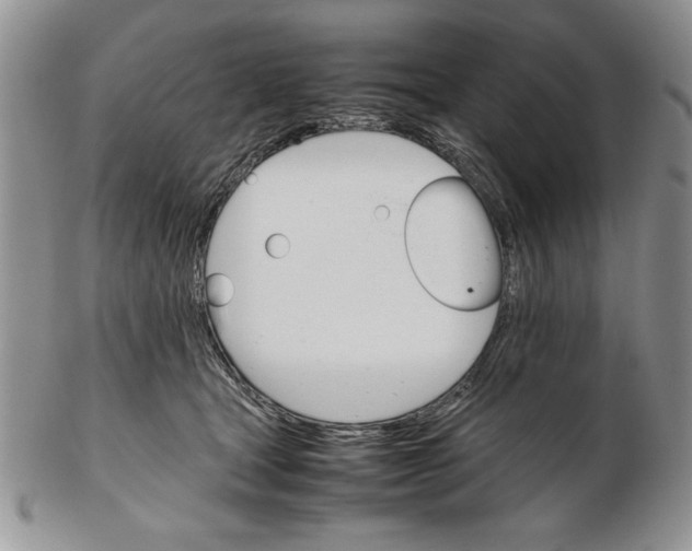 X0000102260465200808221419