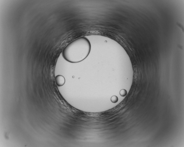 X0000102260466200808221419