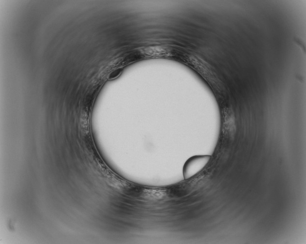 X0000102260469200808221419