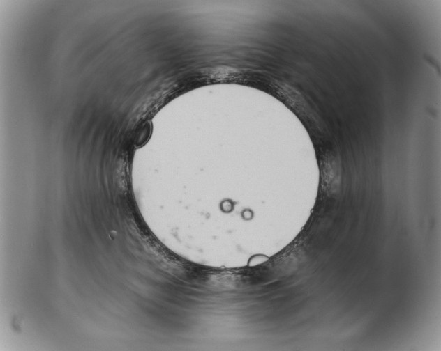 X0000102260470200808221419