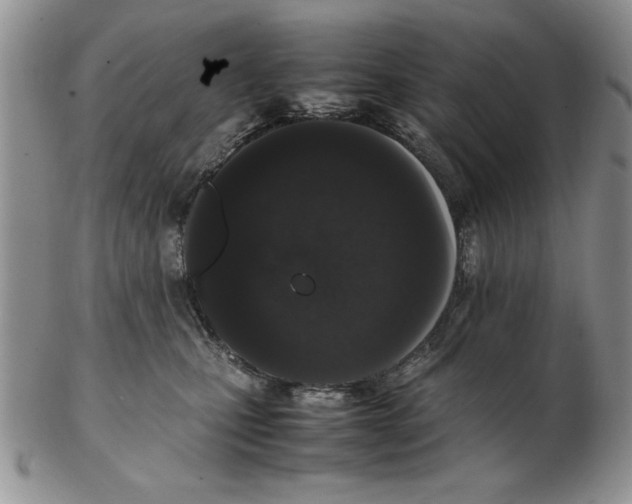 X0000102260471200808221419