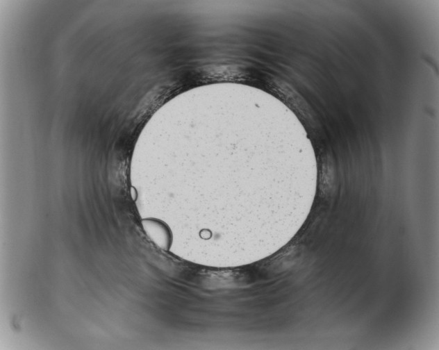X0000102260473200808221419