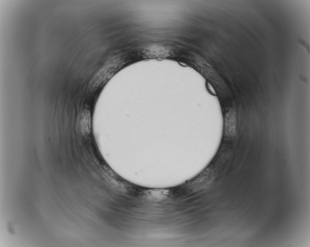 X0000102260474200808221419