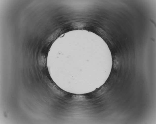 X0000102260476200808221419