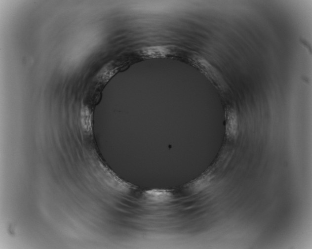 X0000102260477200808221419