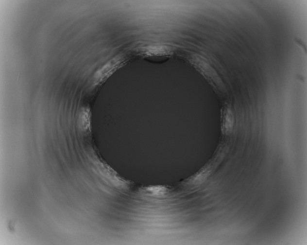 X0000102260478200808221419
