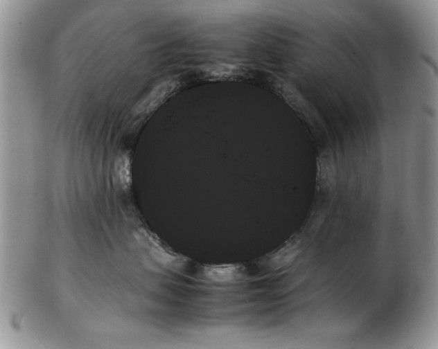 X0000102260479200808221419