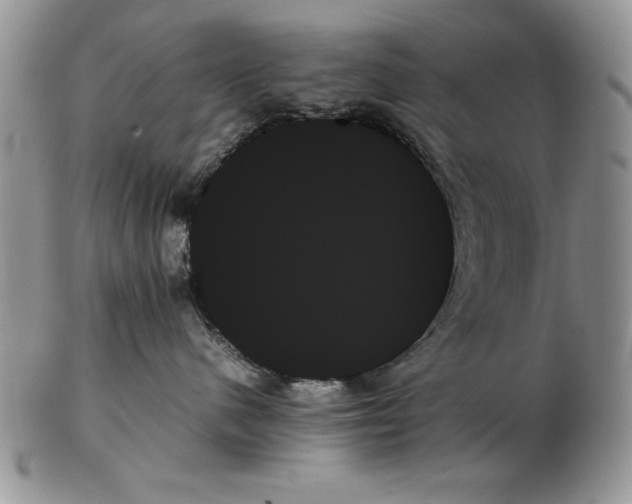 X0000102260480200808221419