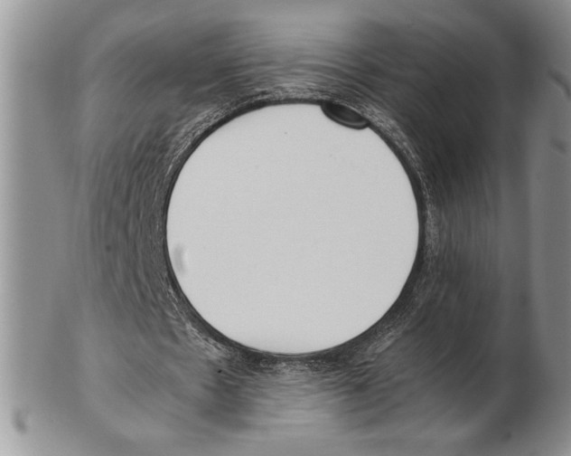 X0000102260481200808221418