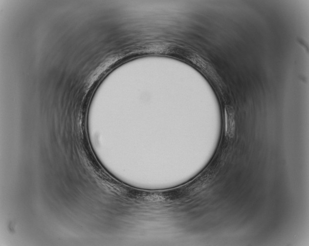 X0000102260483200808221418