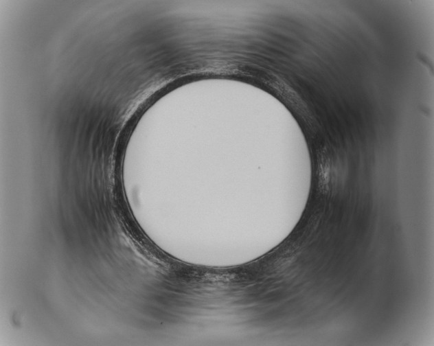 X0000102260484200808221418