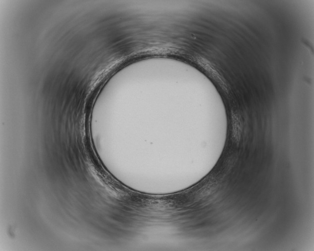 X0000102260486200808221418