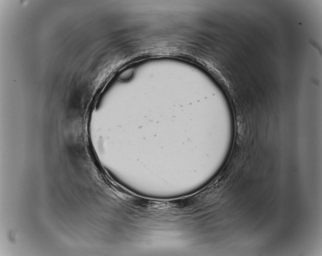 X0000102260487200808221418