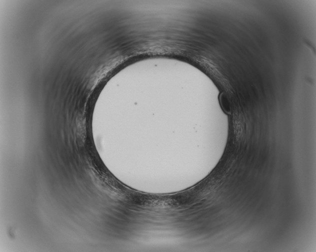 X0000102260488200808221418