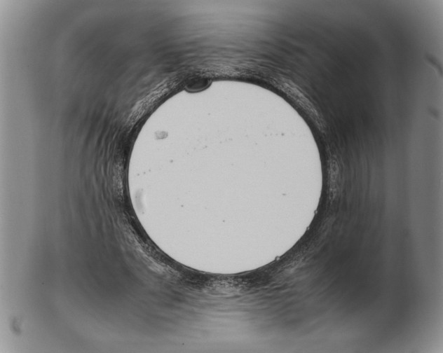 X0000102260489200808221418
