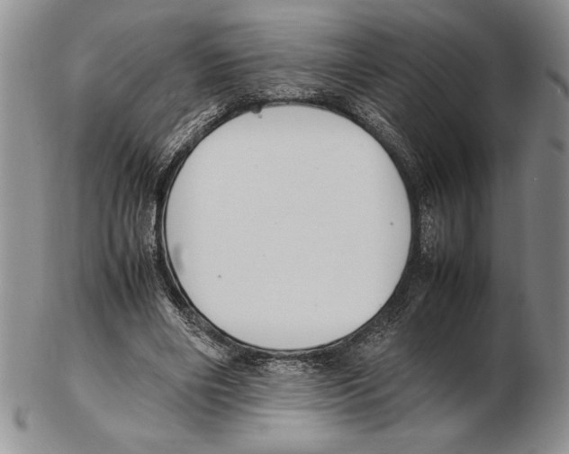 X0000102260490200808221418