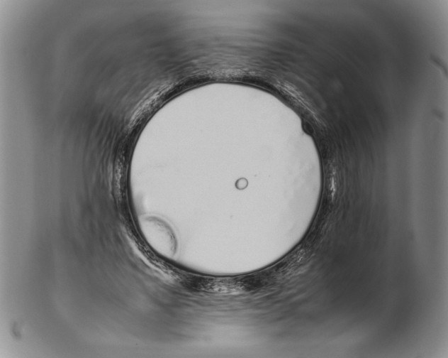 X0000102260491200808221418