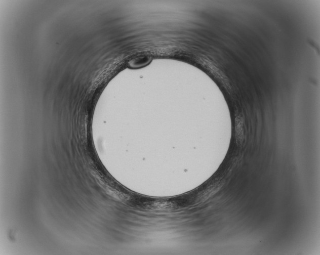 X0000102260493200808221418