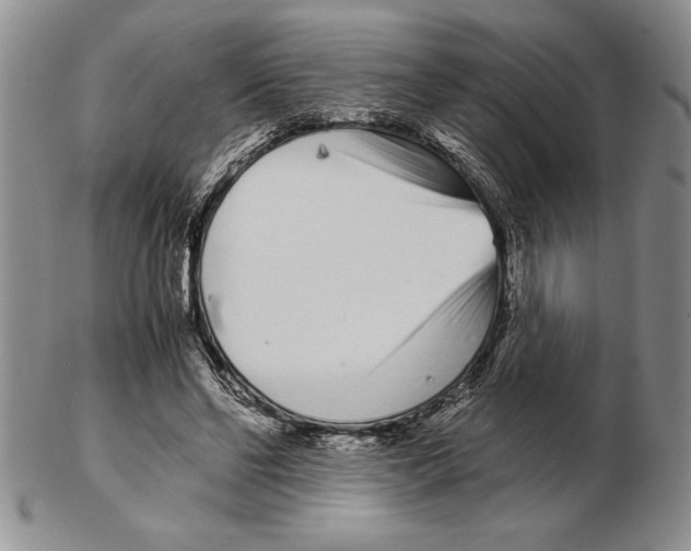 X0000102260494200808221418