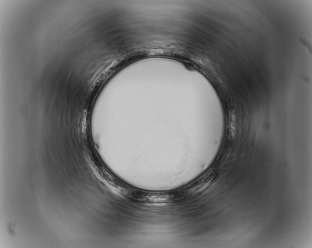 X0000102260495200808221418