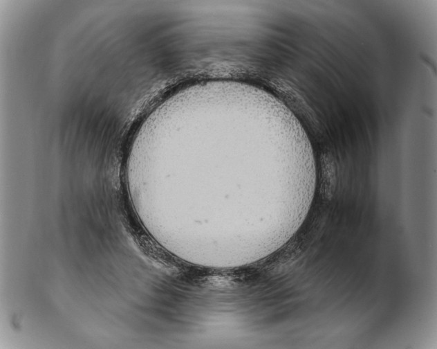 X0000102260496200808221418