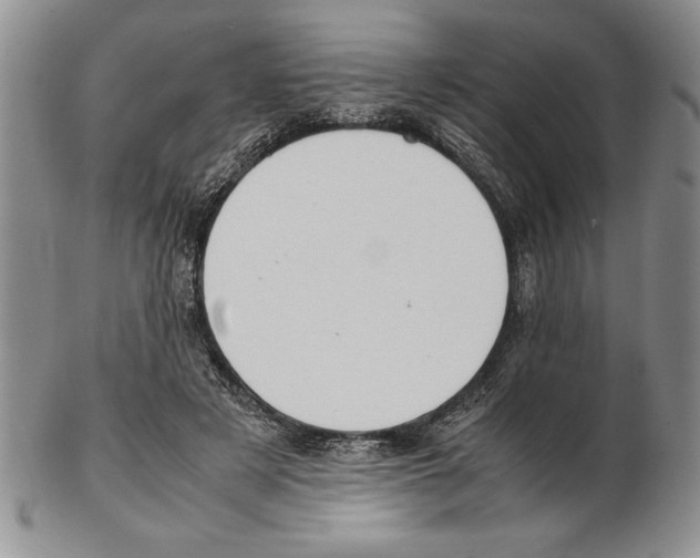 X0000102260497200808221418