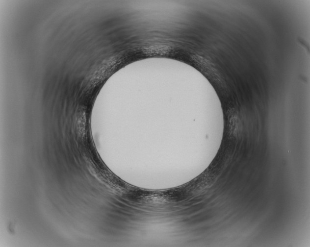 X0000102260498200808221418