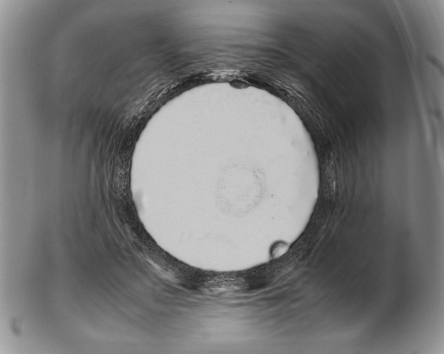 X0000102260499200808221418