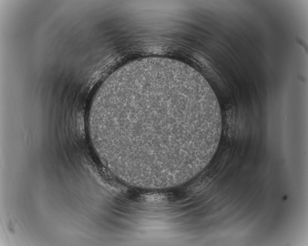 X0000102260500200808221418