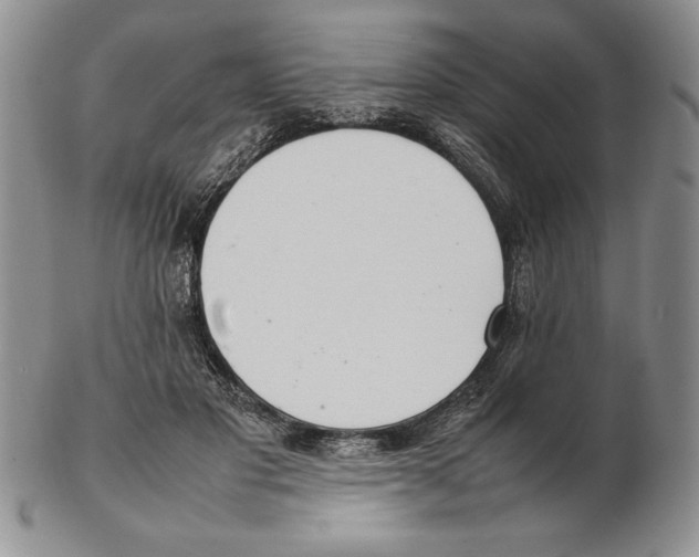 X0000102260501200808221418