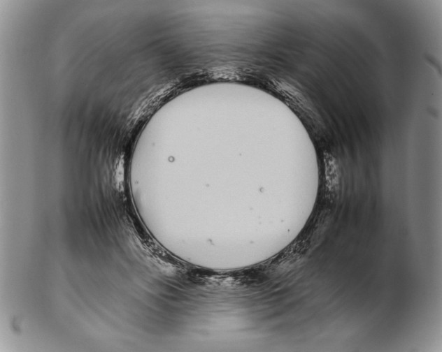 X0000102260502200808221418