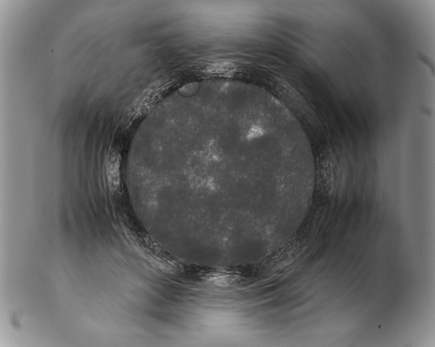 X0000102260504200808221418