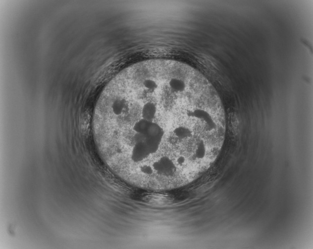 X0000102260507200808221418