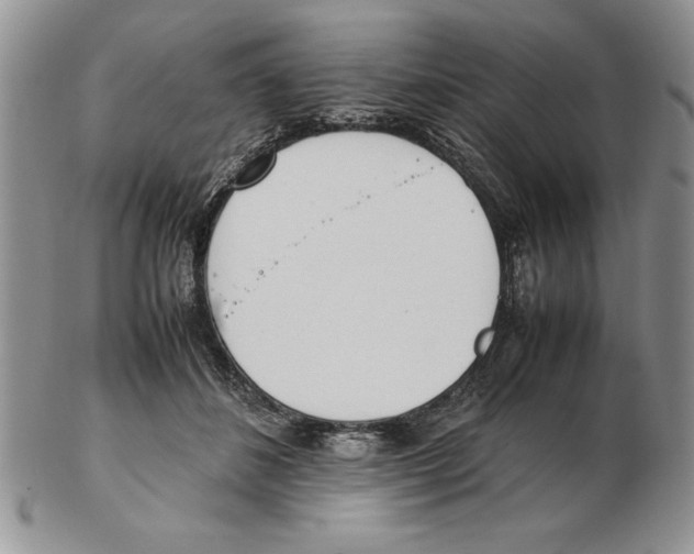 X0000102260508200808221418