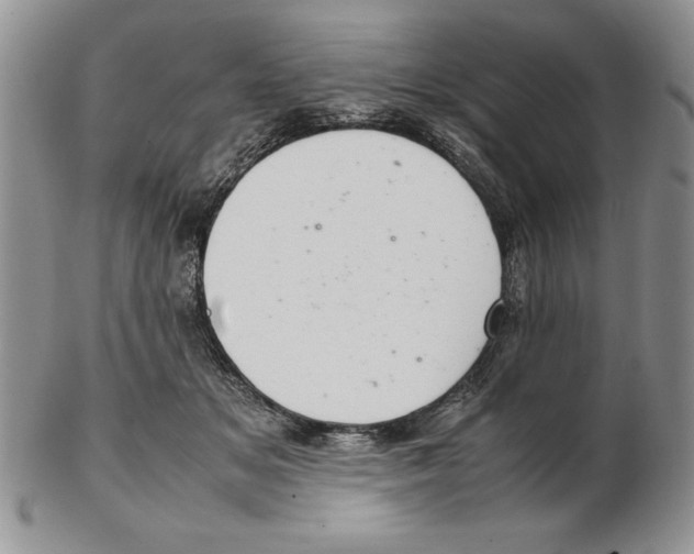 X0000102260509200808221418