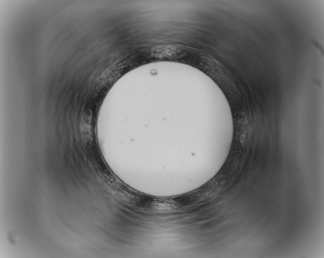 X0000102260510200808221418